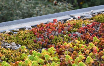 the cost of Brampton Abbotts green roof installation