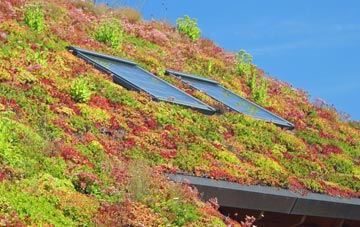 Brampton Abbotts living roof systems